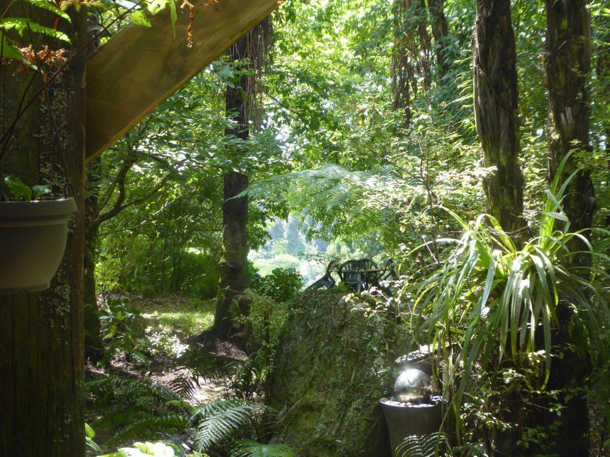 Ohauiti Mount Tutu Eco-Sanctuary Bed & Breakfast エクステリア 写真