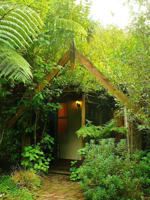 Ohauiti Mount Tutu Eco-Sanctuary Bed & Breakfast 部屋 写真