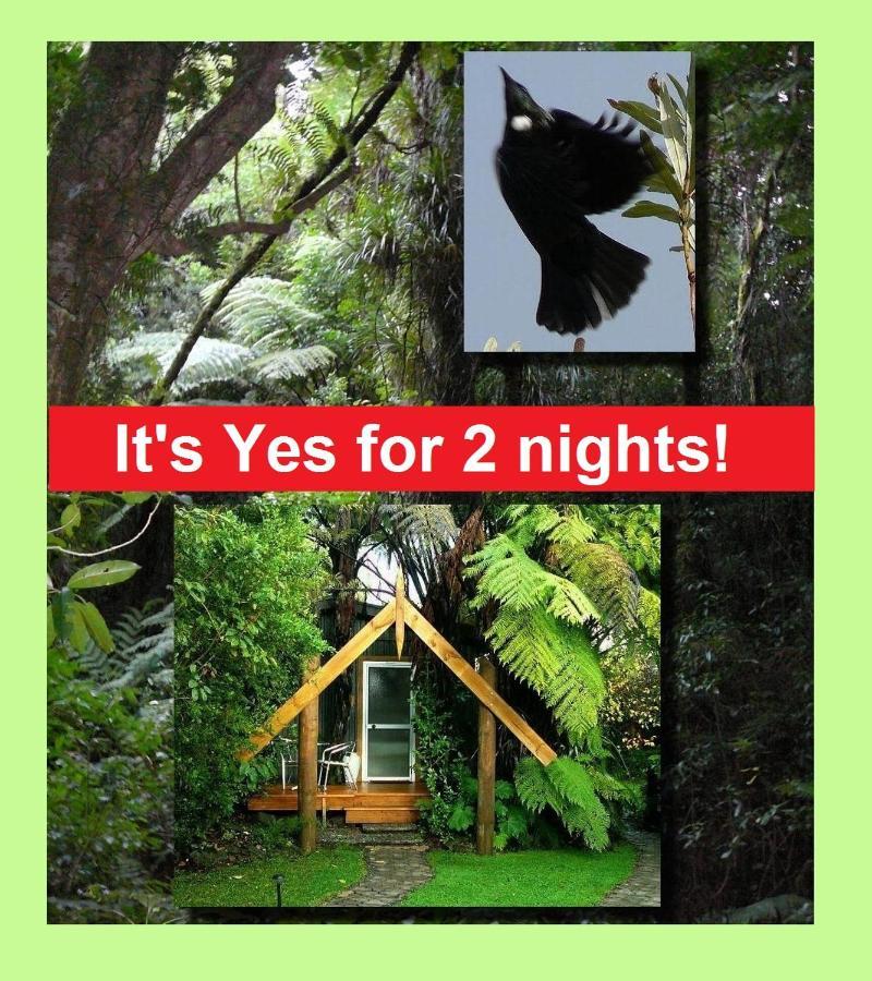 Ohauiti Mount Tutu Eco-Sanctuary Bed & Breakfast エクステリア 写真
